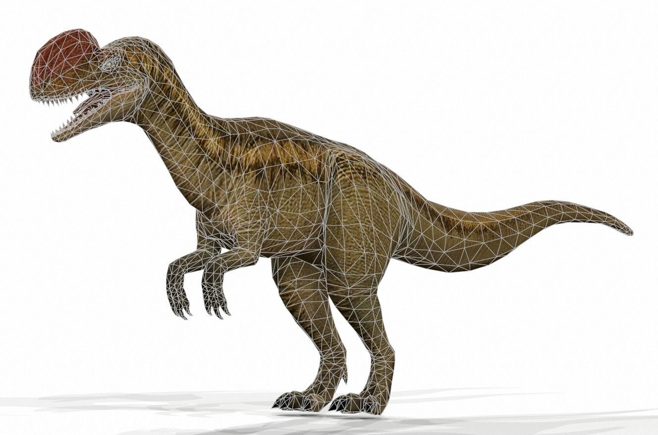 Dinosaur 91 Low-poly 3D model_1