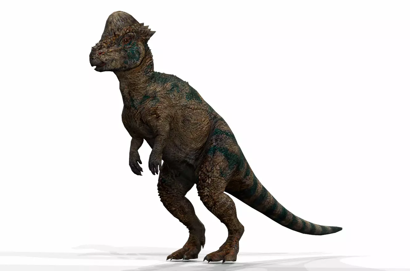 Dinosaur 102 Low-poly 3D model_0