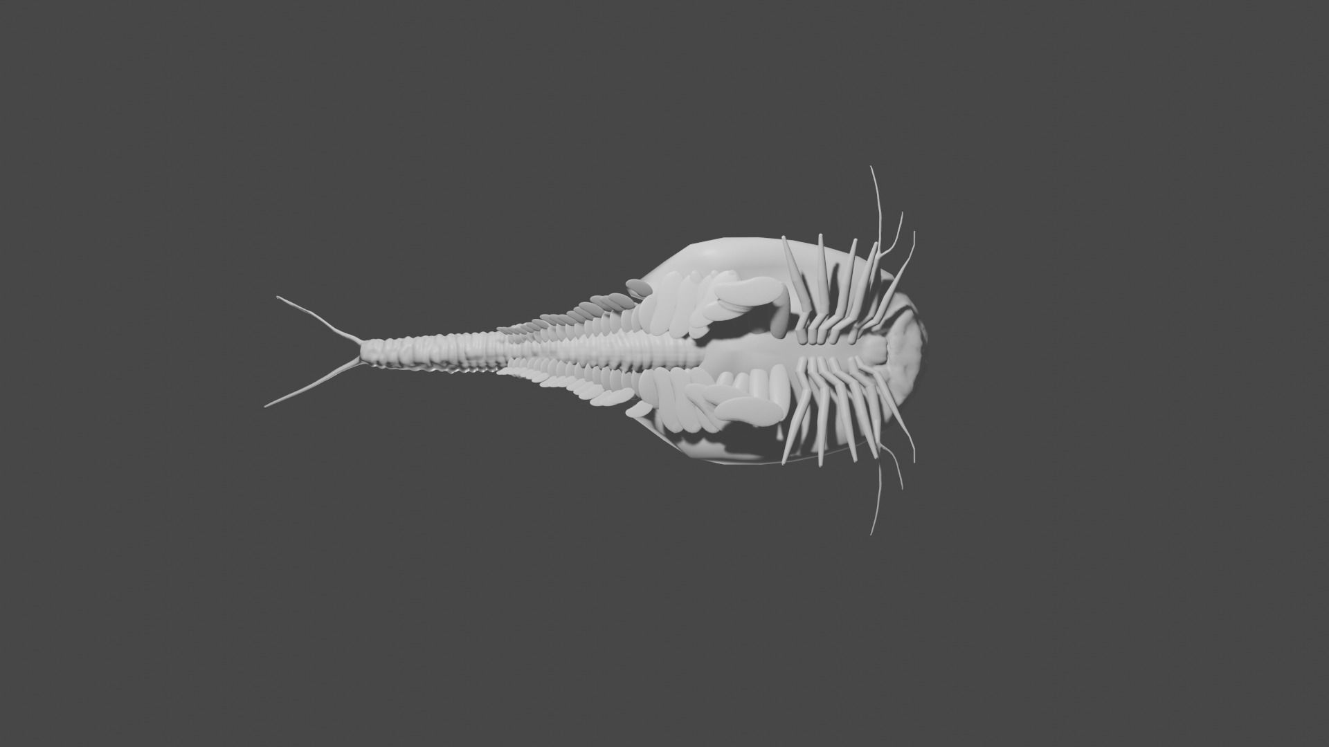 triops sea creature 3D model_3