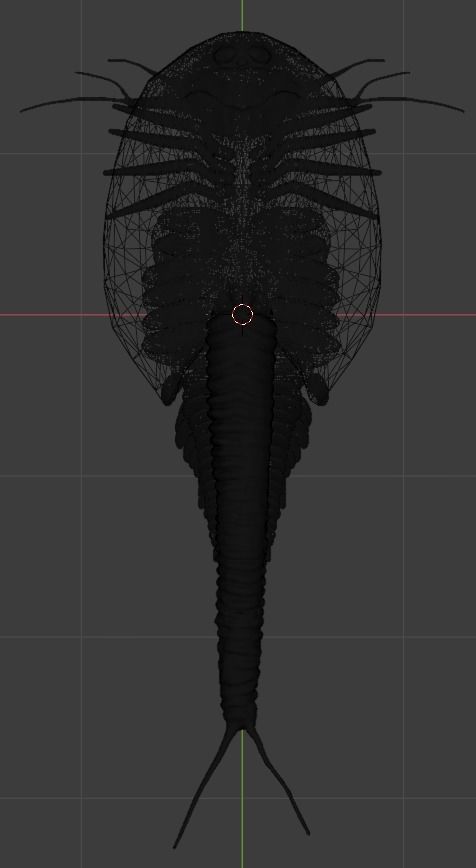 triops sea creature 3D model_1