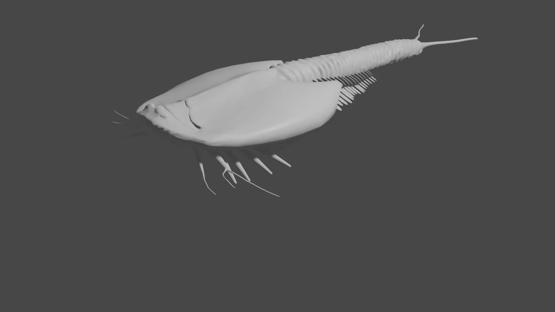 triops sea creature 3D model_0