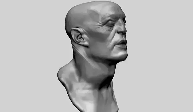 Fantasy Creature Head 06