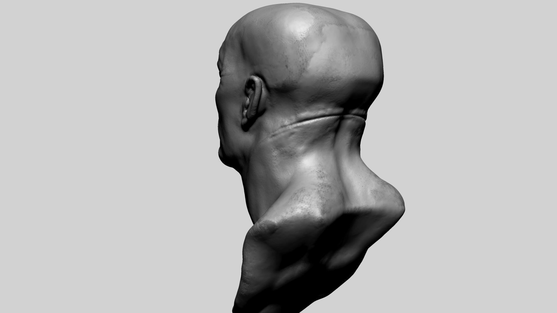 Fantasy Creature Head 06 3D model_4