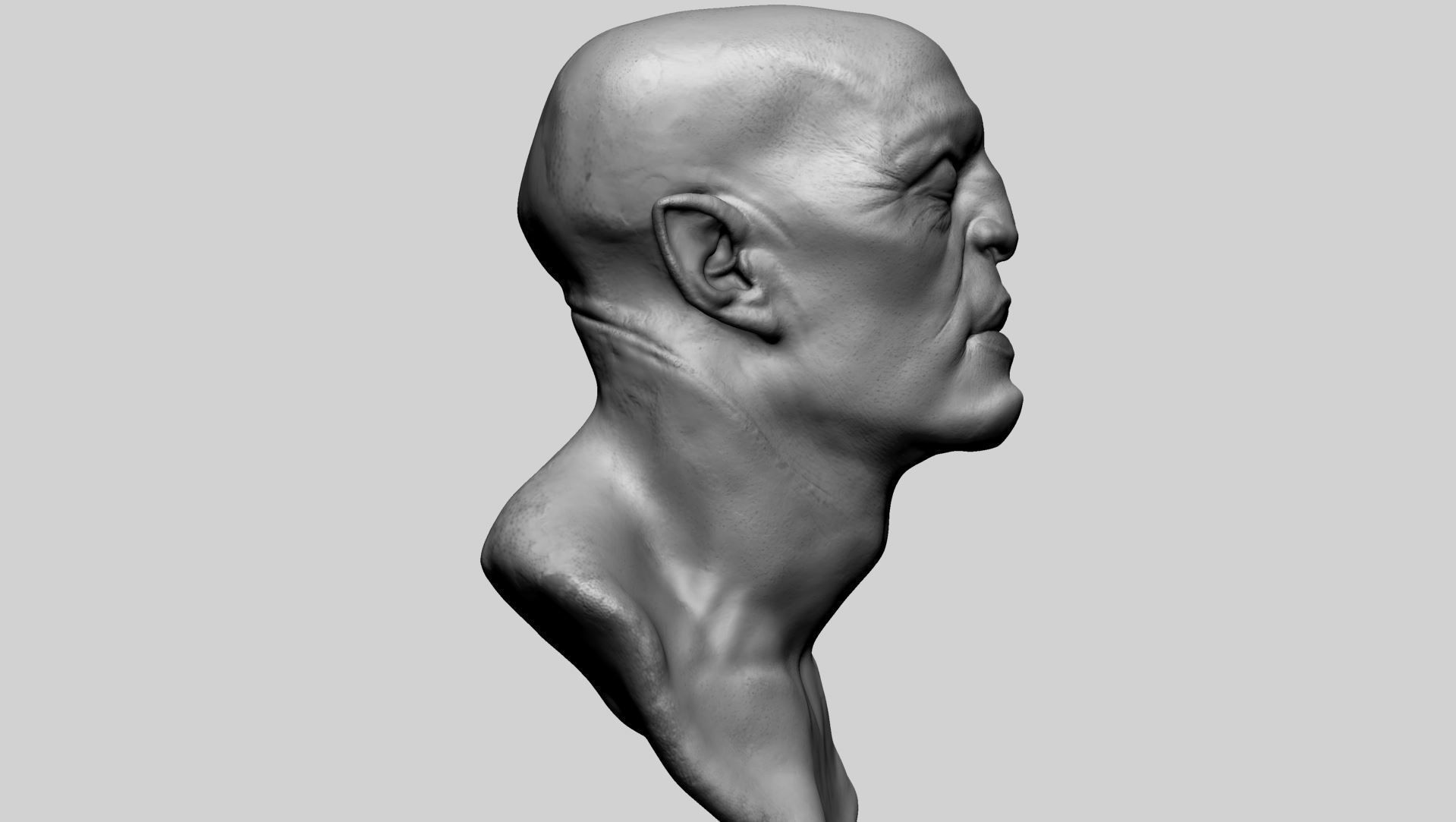 Fantasy Creature Head 06 3D model_1