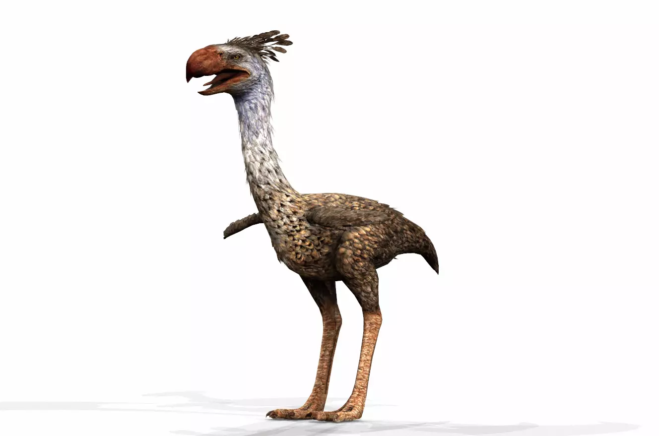 Dinosaur 106 Low-poly 3D model_0