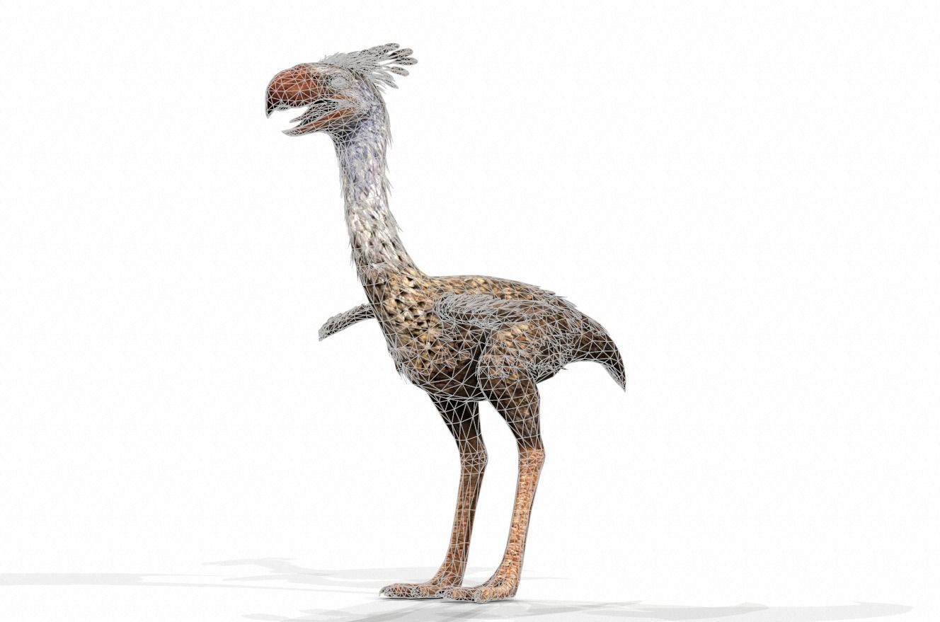 Dinosaur 106 Low-poly 3D model_1