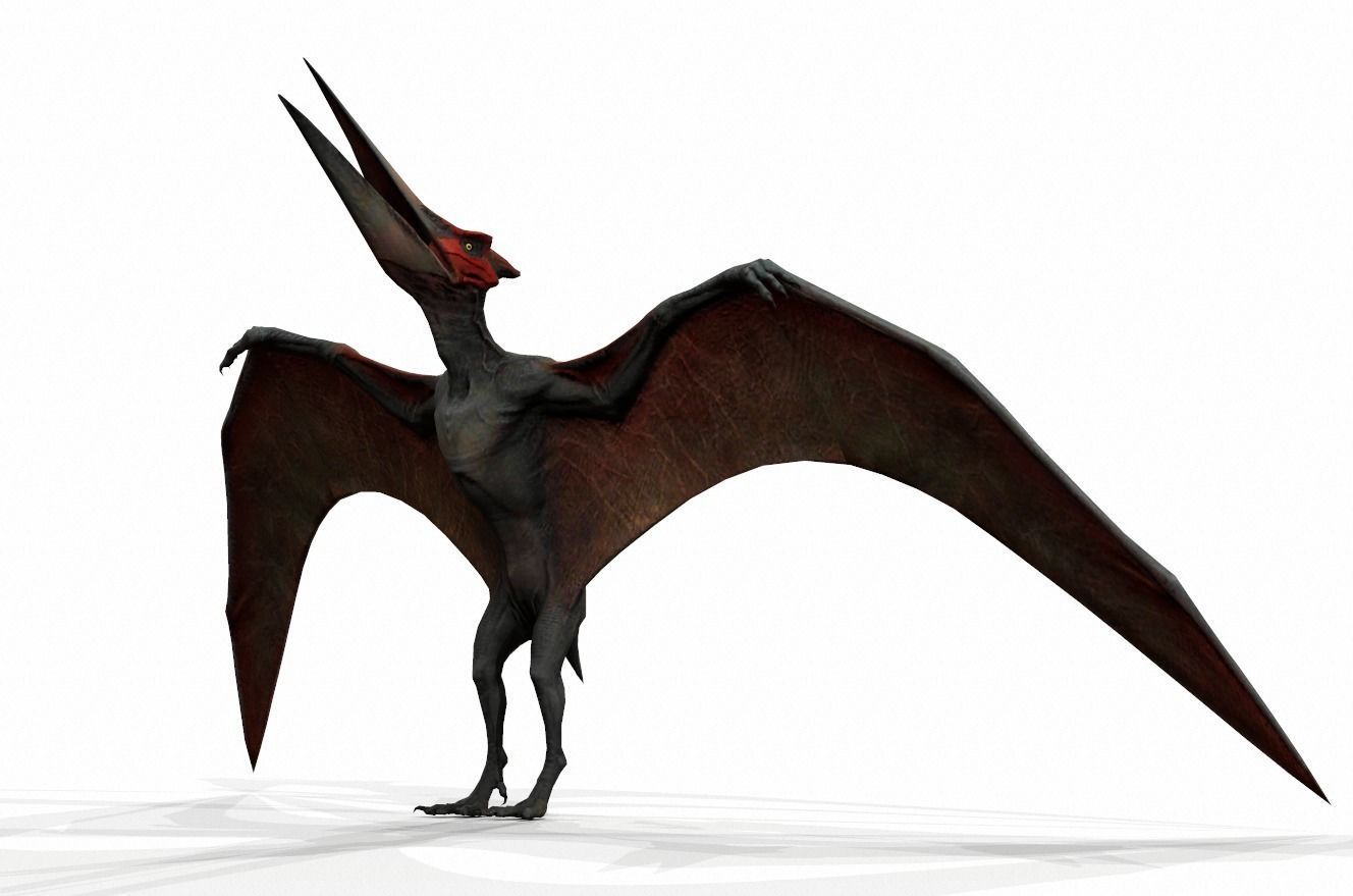 Dinosaur 111 Low-poly 3D model_1