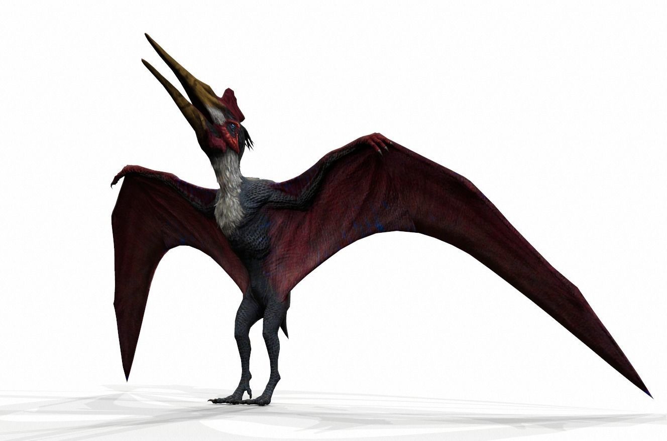 Dinosaur 112 Low-poly 3D model_1