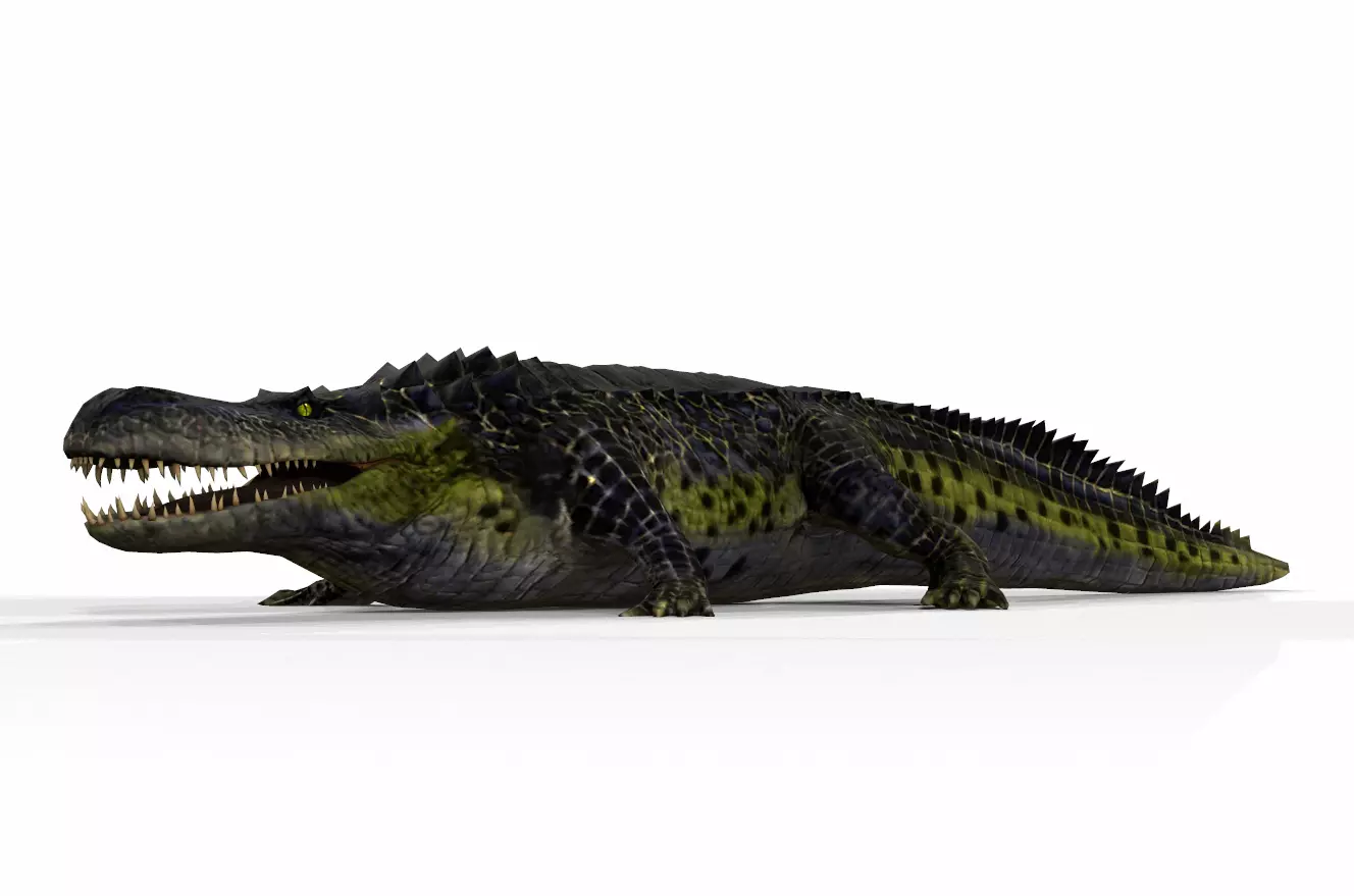 Dinosaur 115 Low-poly 3D model_0