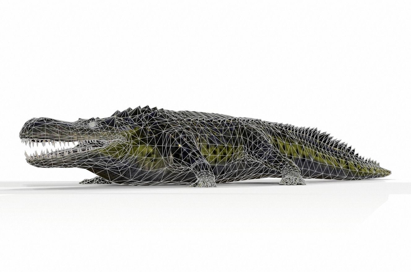 Dinosaur 115 Low-poly 3D model_1