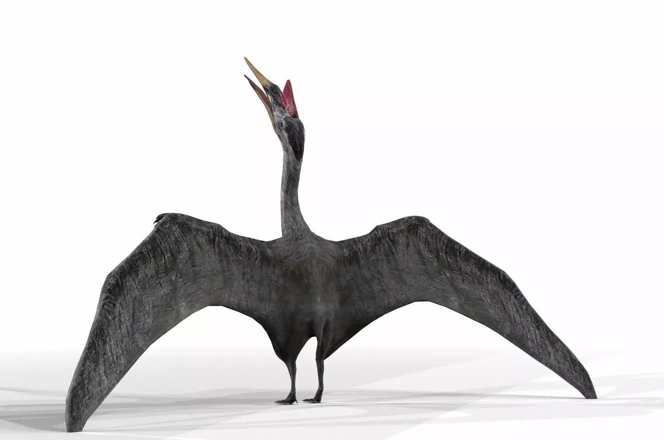 Dinosaur 120 Low-poly 3D model_0