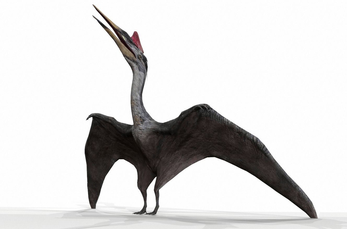 Dinosaur 120 Low-poly 3D model_1