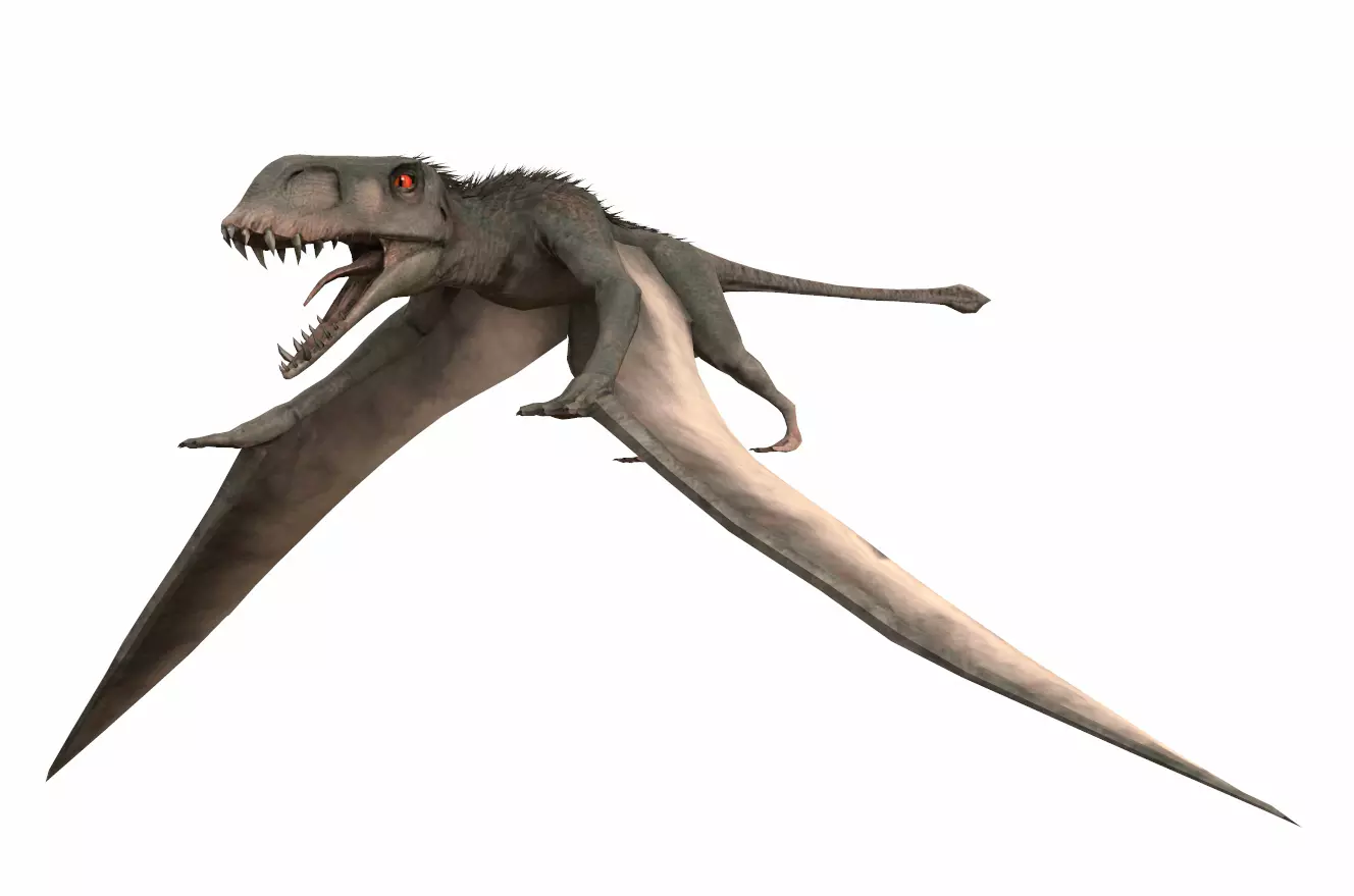 Dinosaur 124 Low-poly 3D model_0
