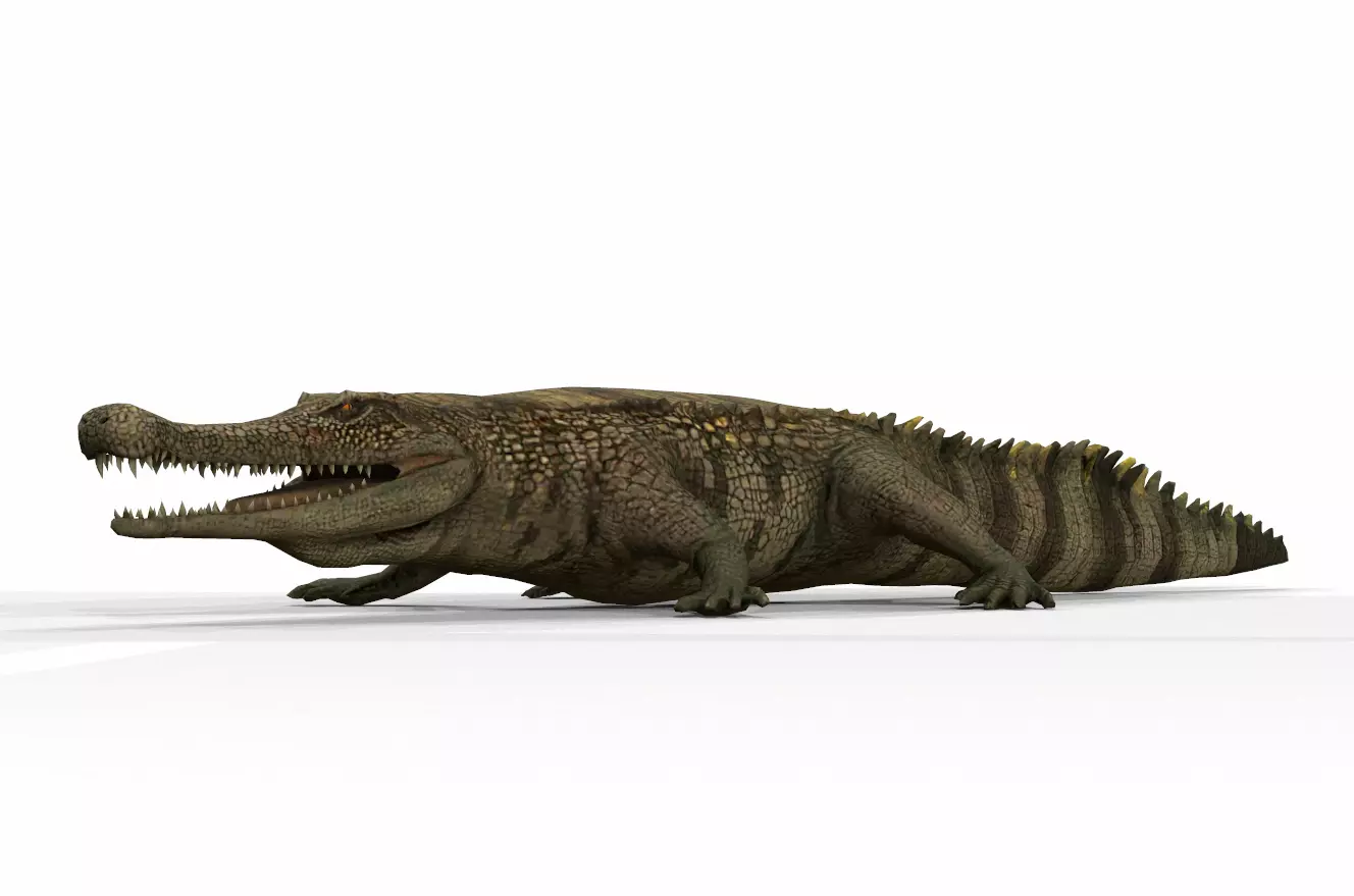 Dinosaur 125 Low-poly 3D model_0