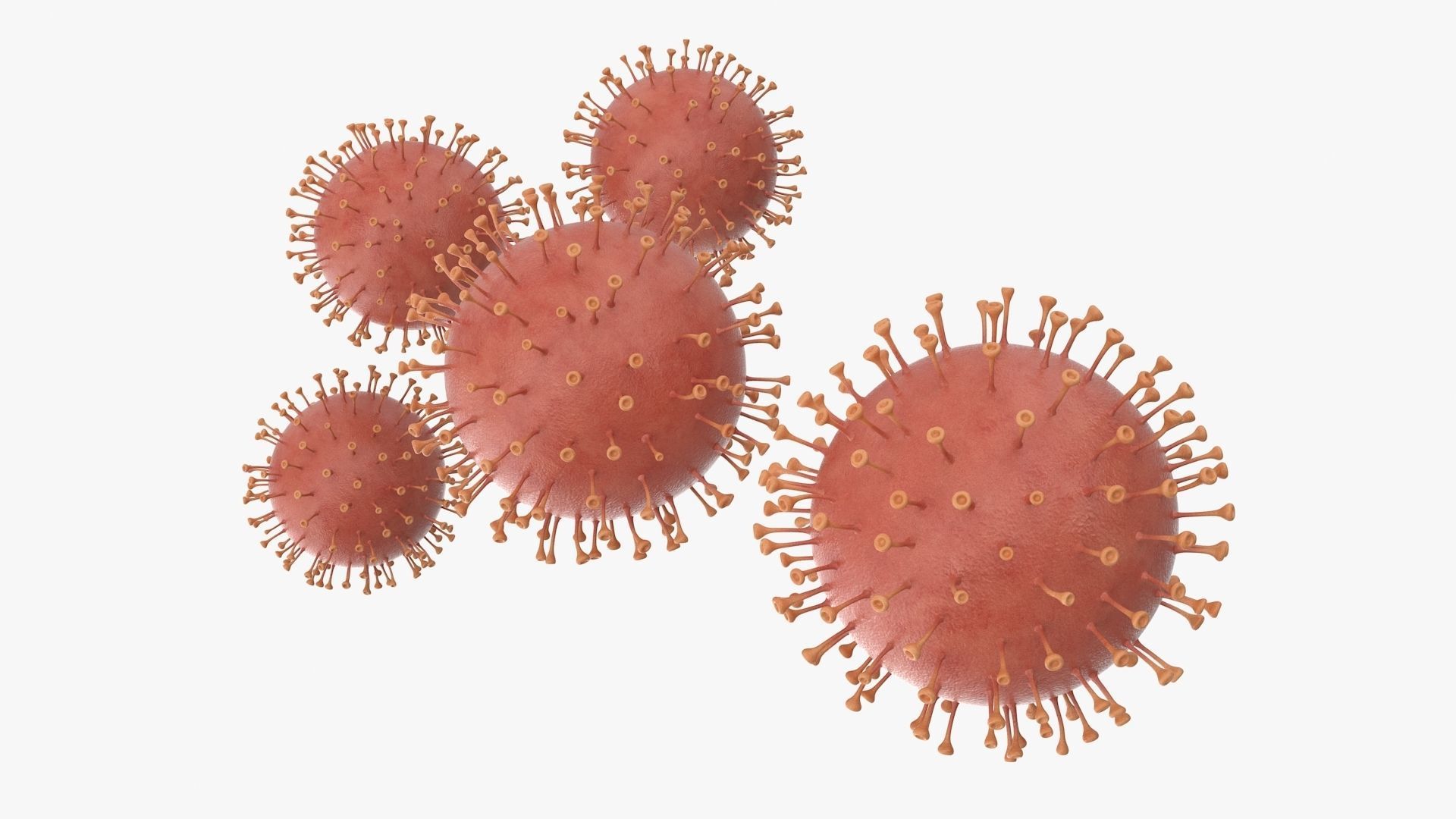 Corona Virus Low-poly 3D model_7