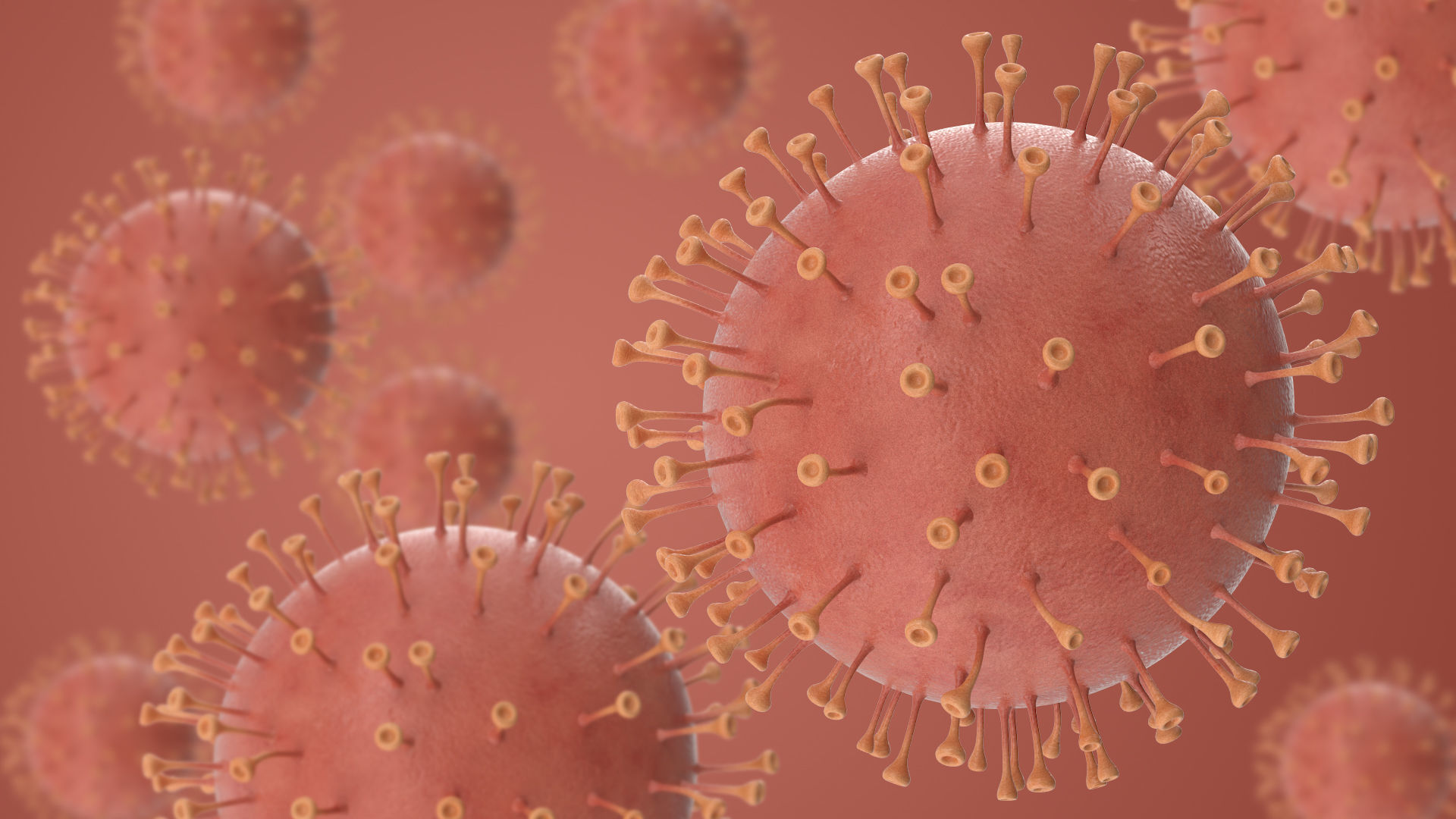 Corona Virus Low-poly 3D model_8