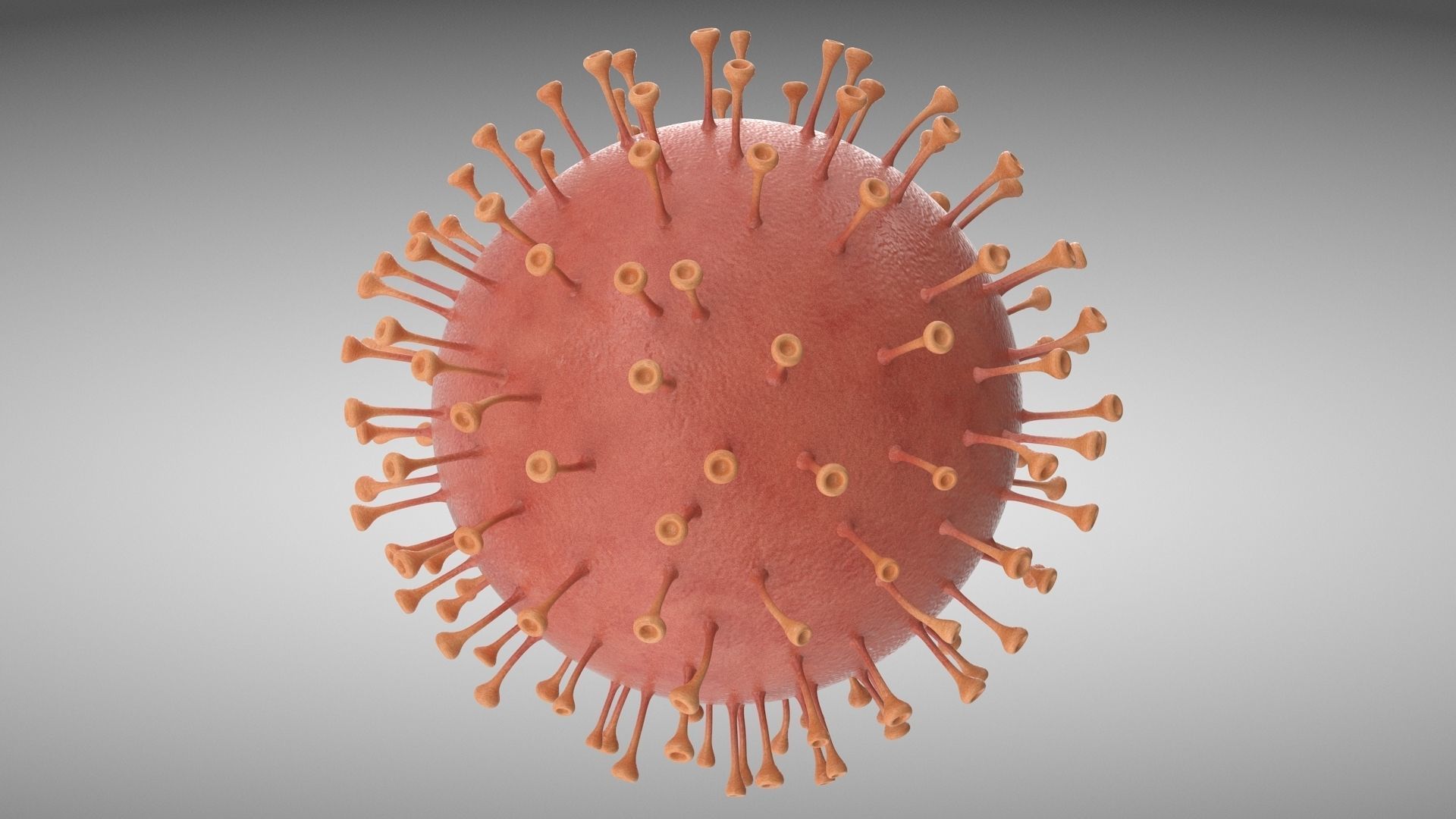 Corona Virus Low-poly 3D model_2