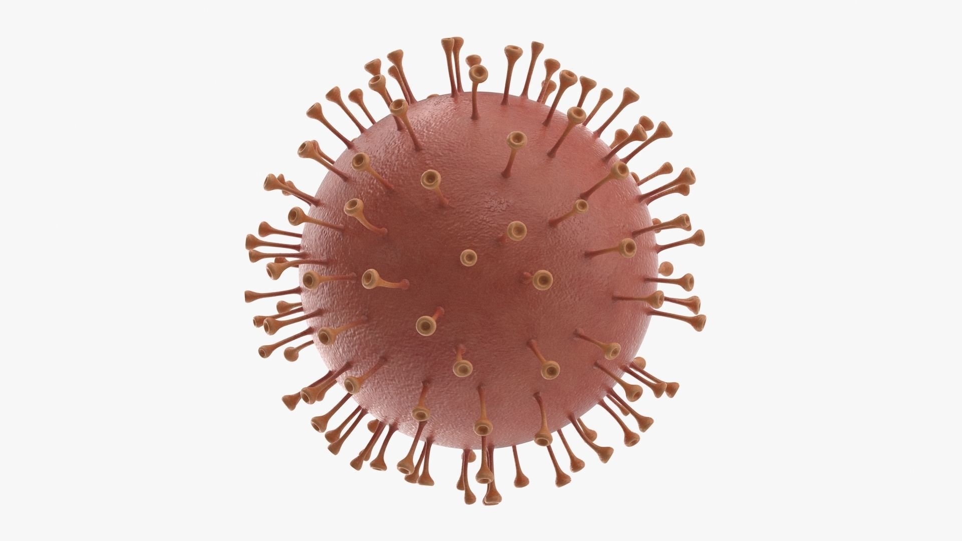 Corona Virus Low-poly 3D model_4
