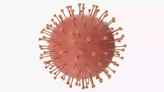Corona Virus