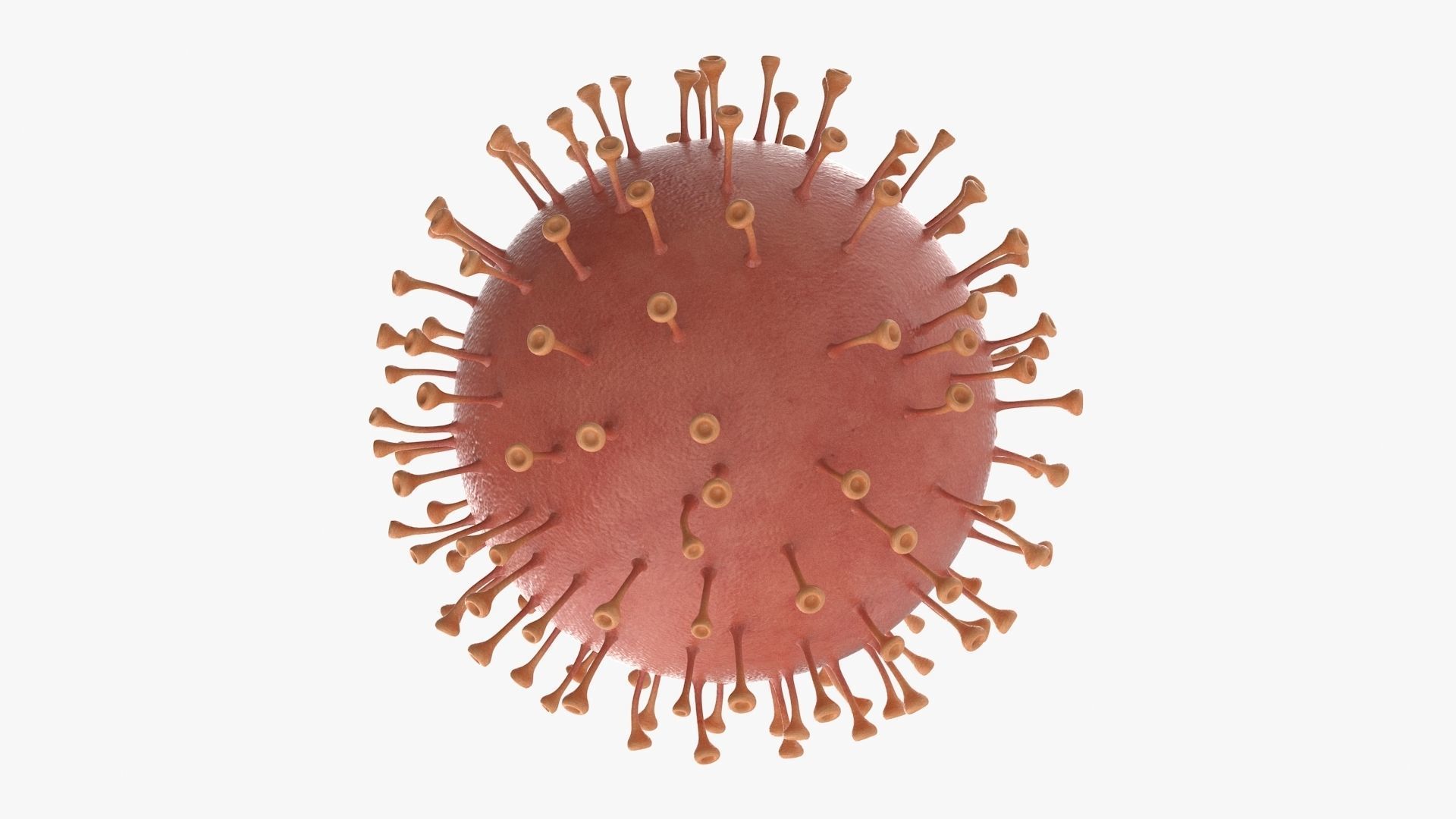 Corona Virus Low-poly 3D model_5