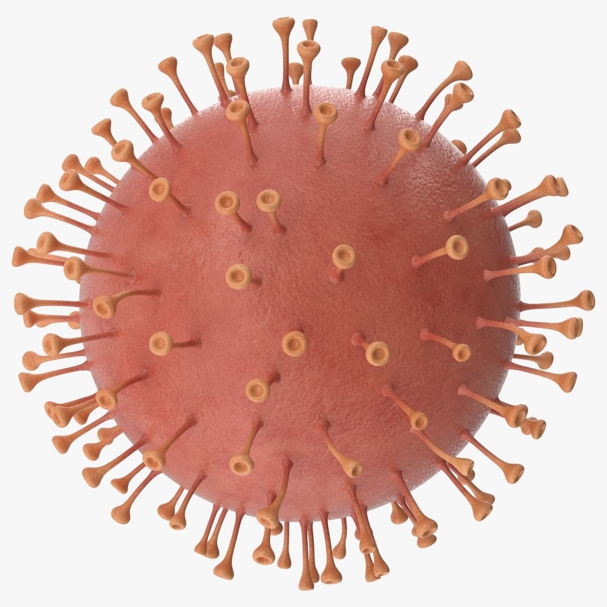 Corona Virus Low-poly 3D model_1