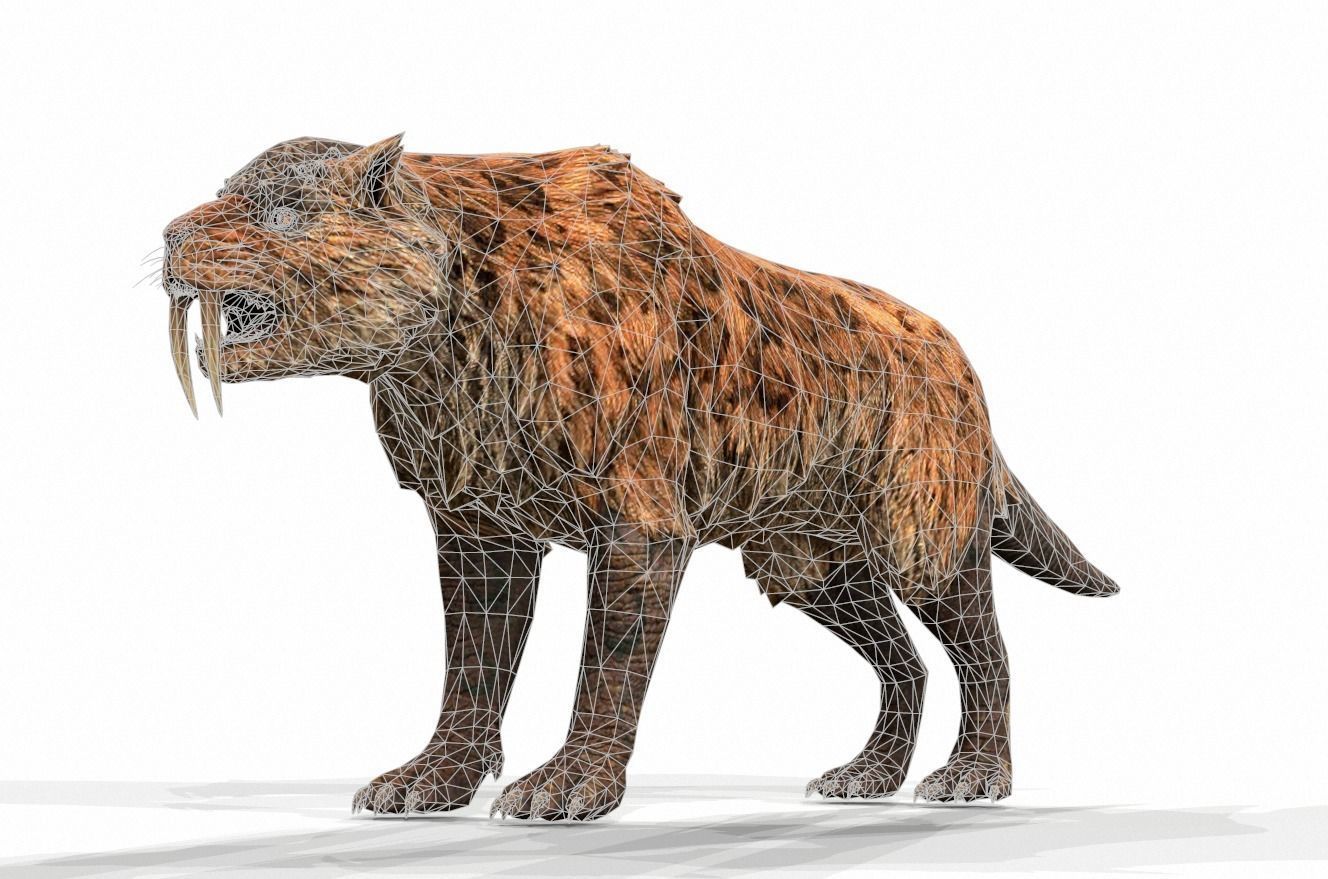 Dinosaur 132 Low-poly 3D model_1