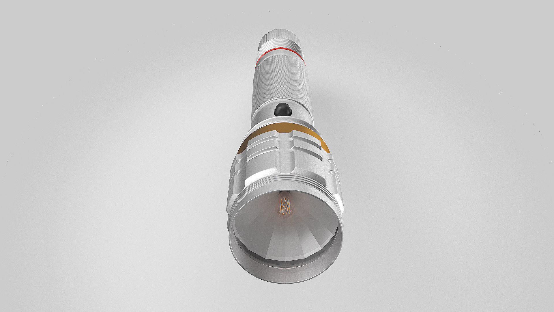 Flash Light 3D model_1