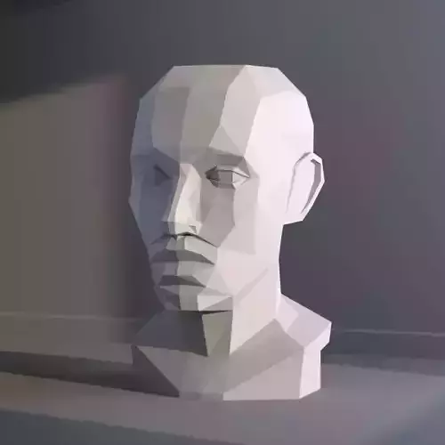 LOW POLYGON PLANE OF HEAD 3D PRINT MODEL