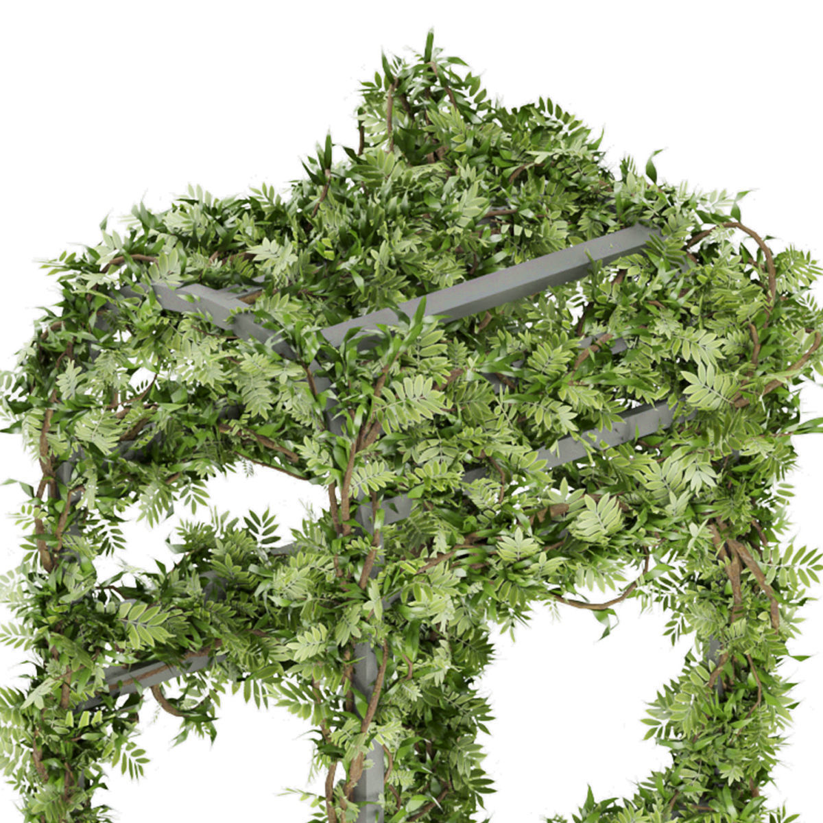 Collection plant vol 29 3D model_3