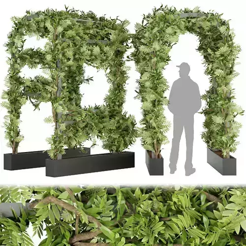 Collection plant vol 29 3D model