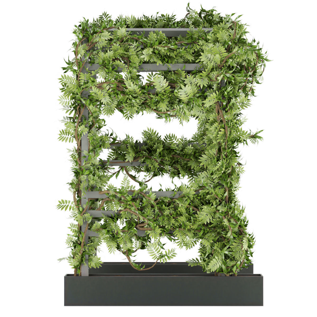 Collection plant vol 29 3D model_1