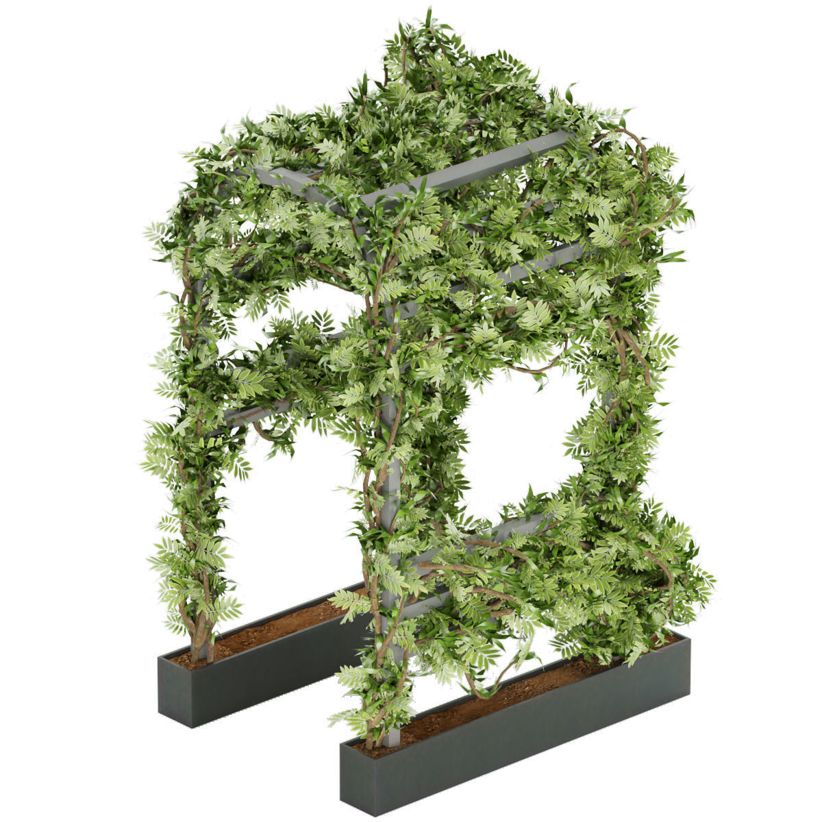 Collection plant vol 29 3D model_2