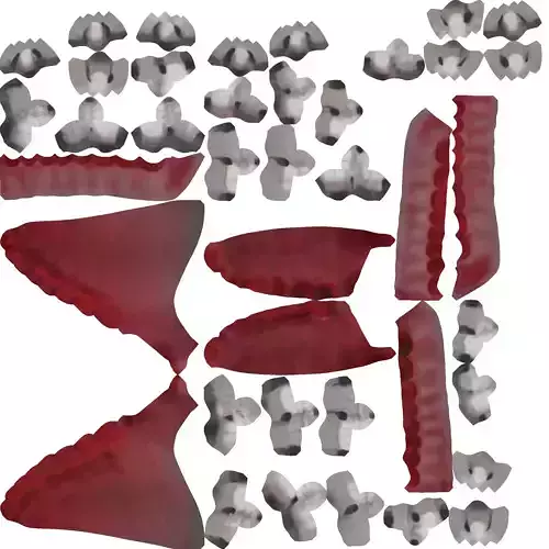 human set of teeth that have been cut into pieces