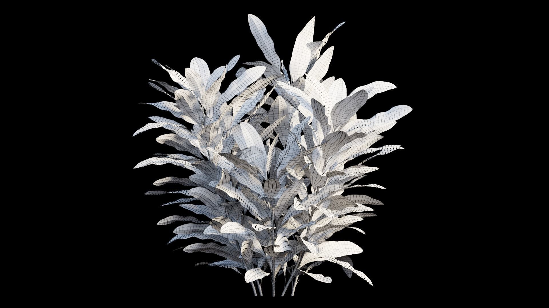 Cordyline Fruticosa plant set 02 Low-poly 3D model_15