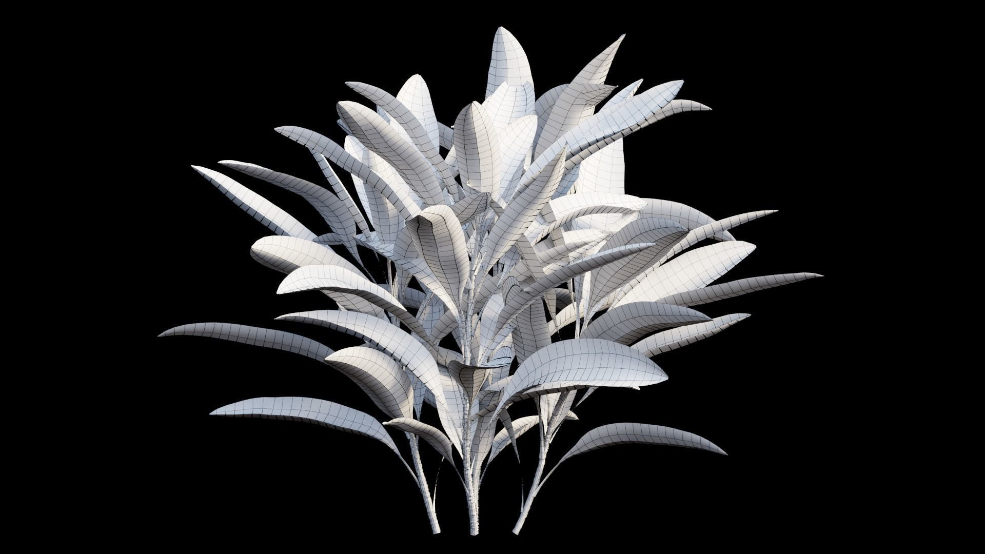 Cordyline Fruticosa Low-poly 3D model_12