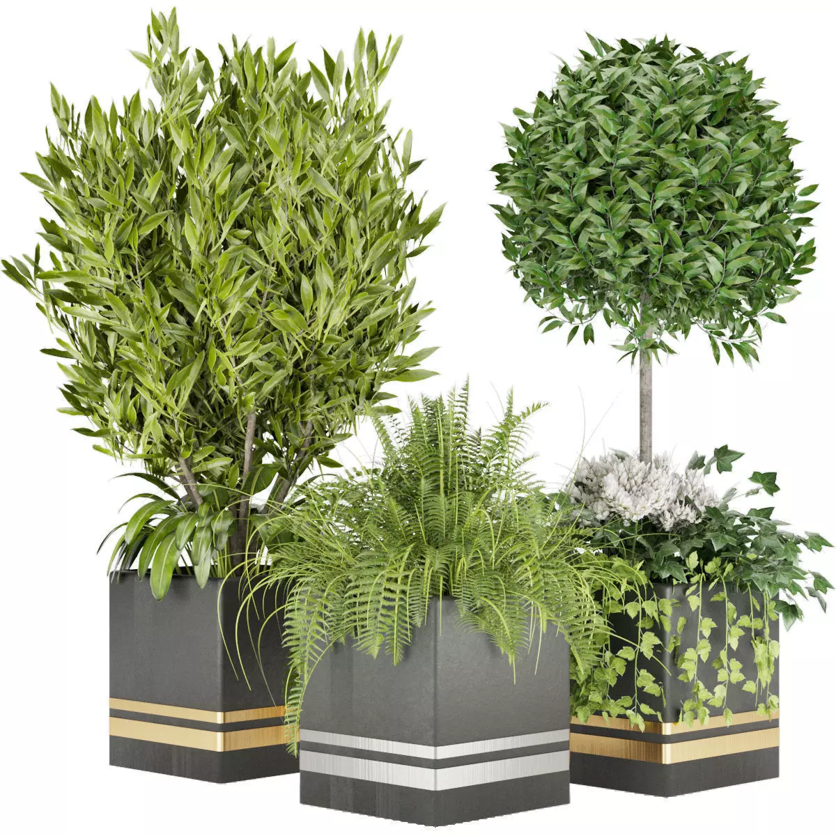 Collection plant vol 31 3D model