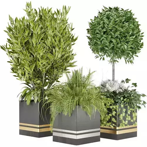 Collection plant vol 31