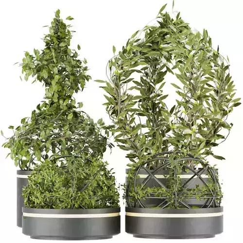 Collection plant vol 32 3D model