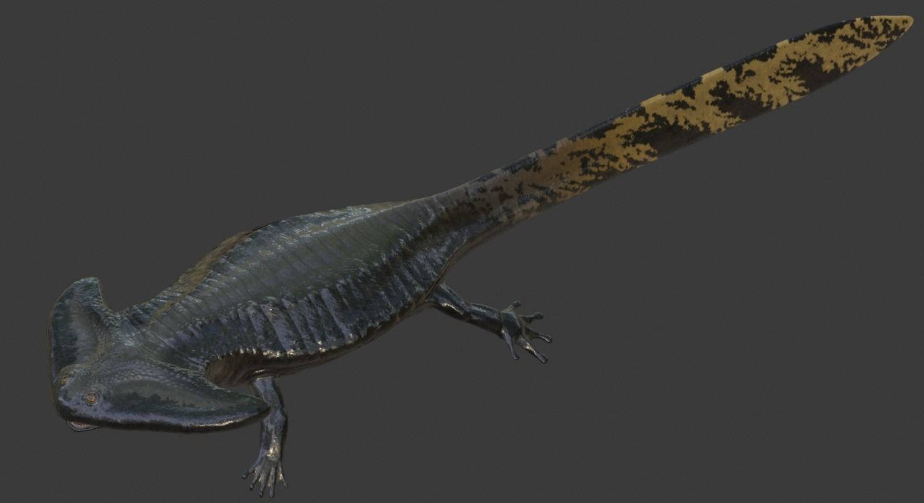 Diplocaulus Asset Pack Low-poly 3D model_7