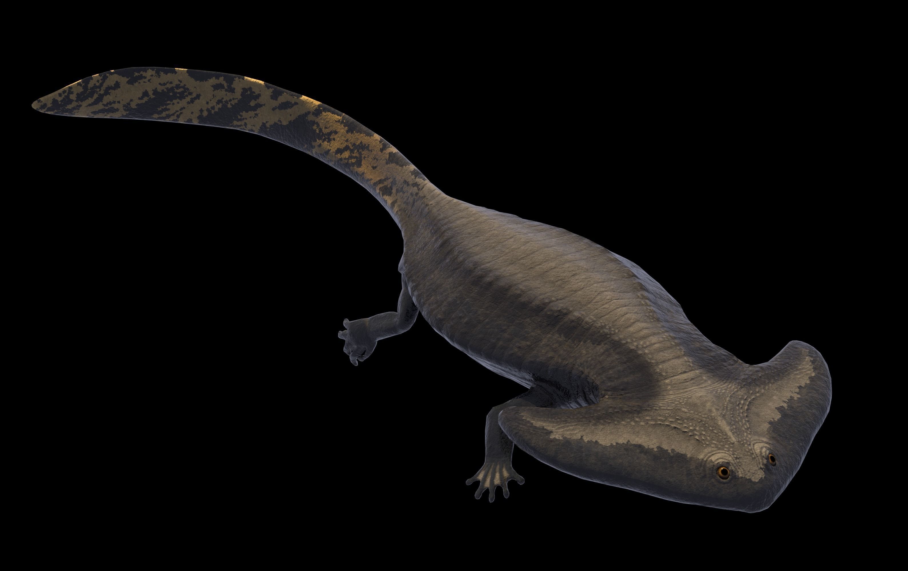 Diplocaulus Asset Pack Low-poly 3D model_2