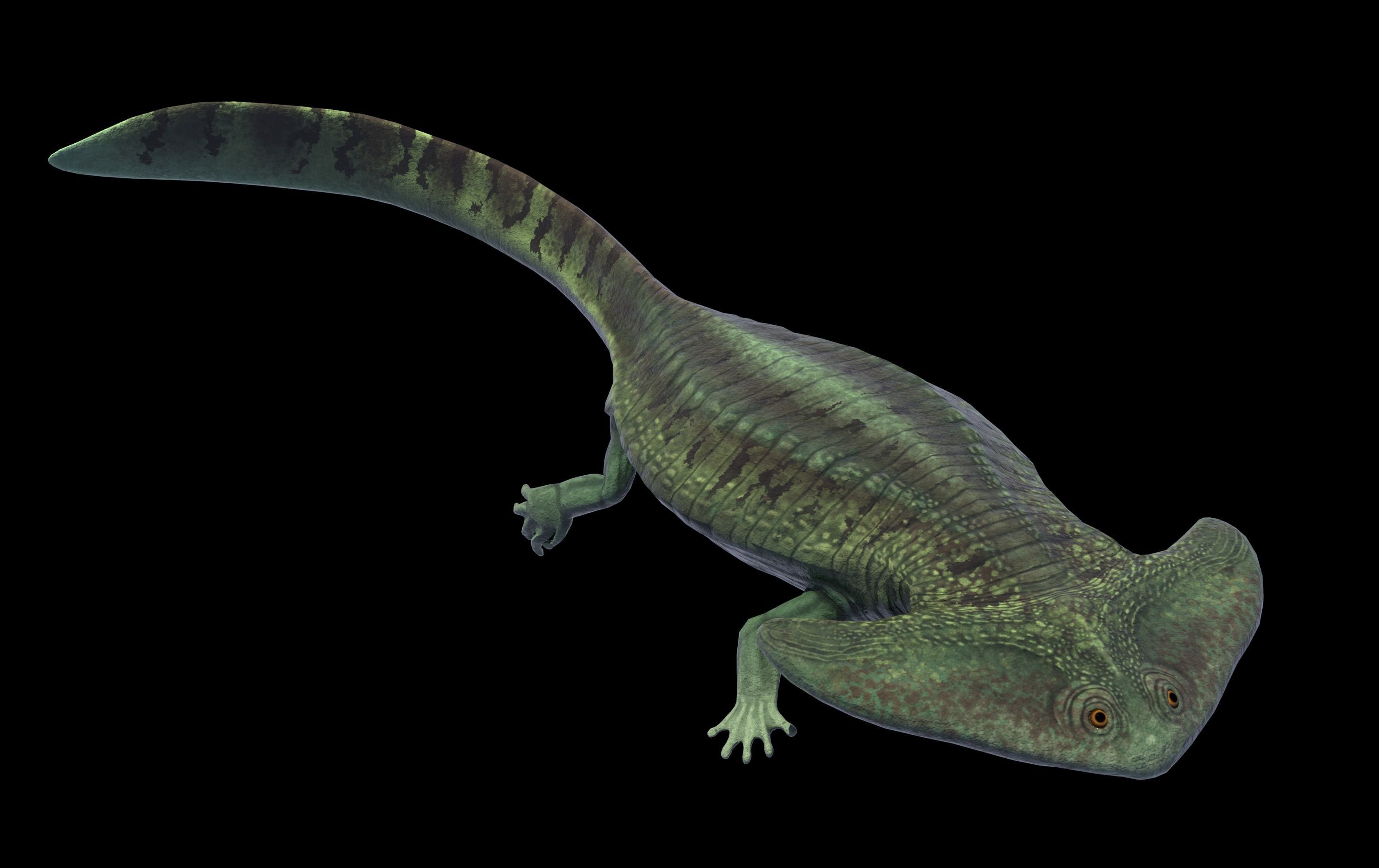 Diplocaulus Asset Pack Low-poly 3D model_5
