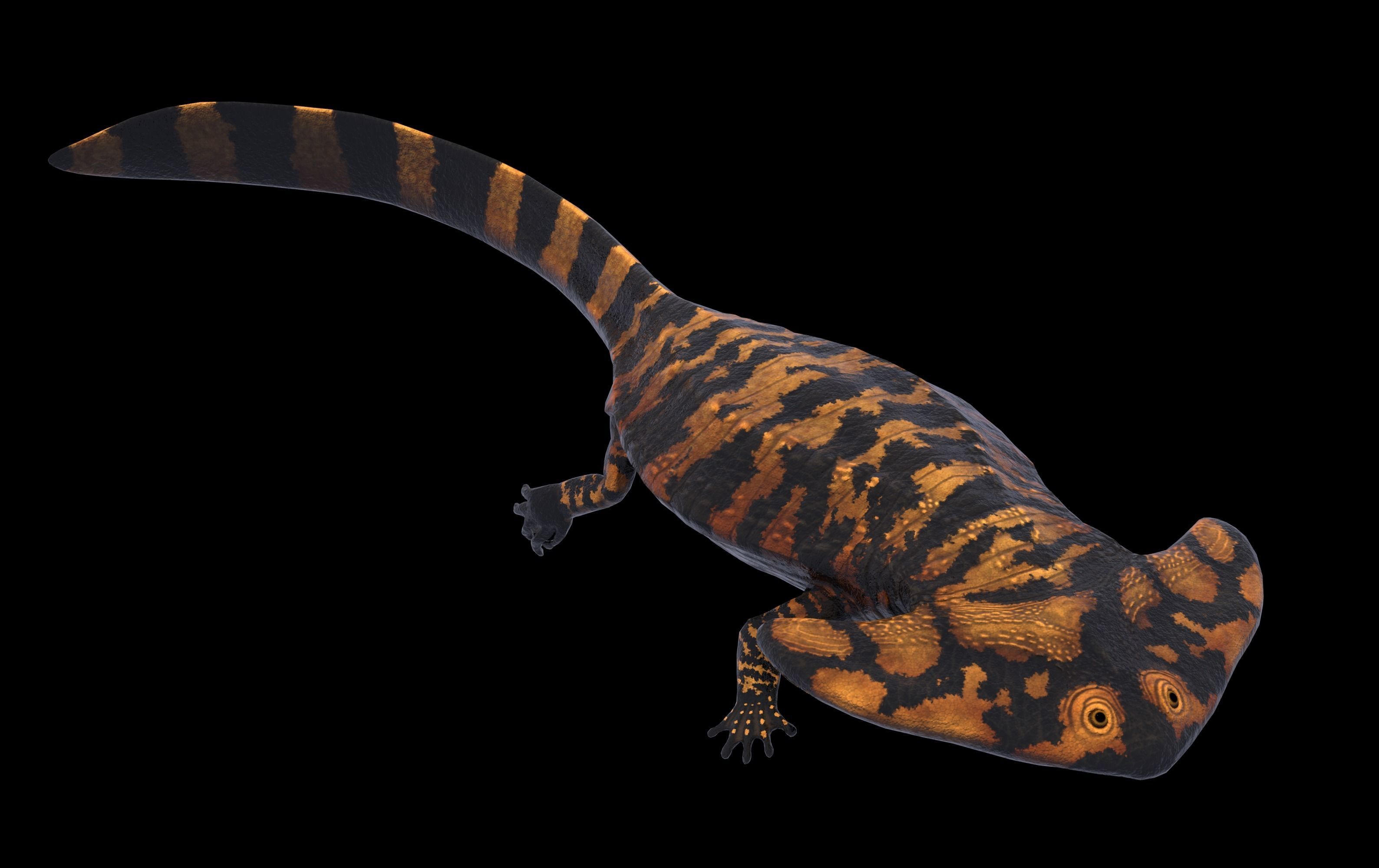 Diplocaulus Asset Pack Low-poly 3D model_4