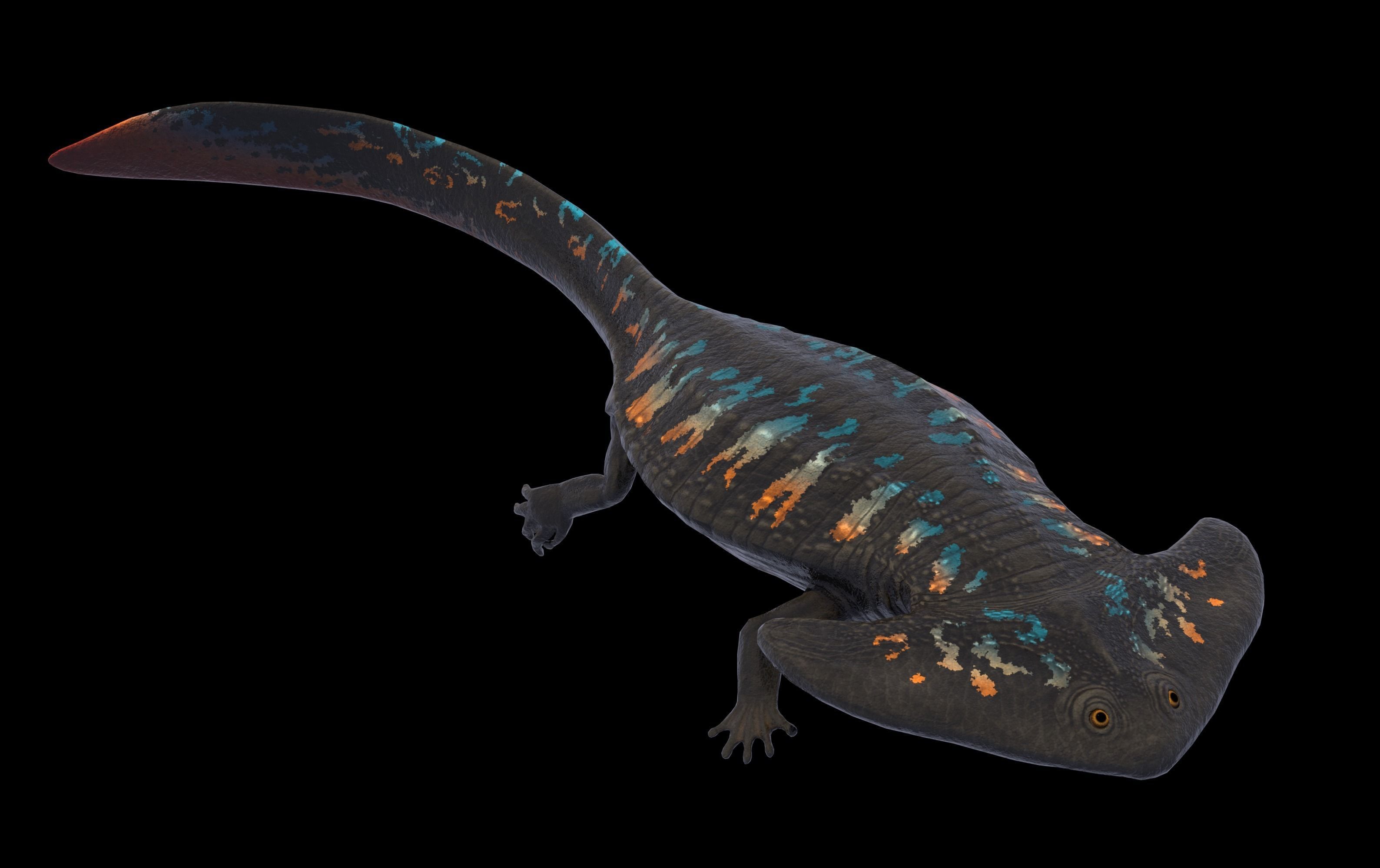 Diplocaulus Asset Pack Low-poly 3D model_3