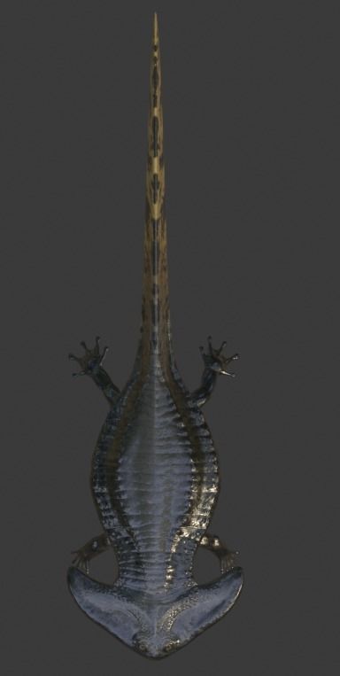 Diplocaulus Asset Pack Low-poly 3D model_8