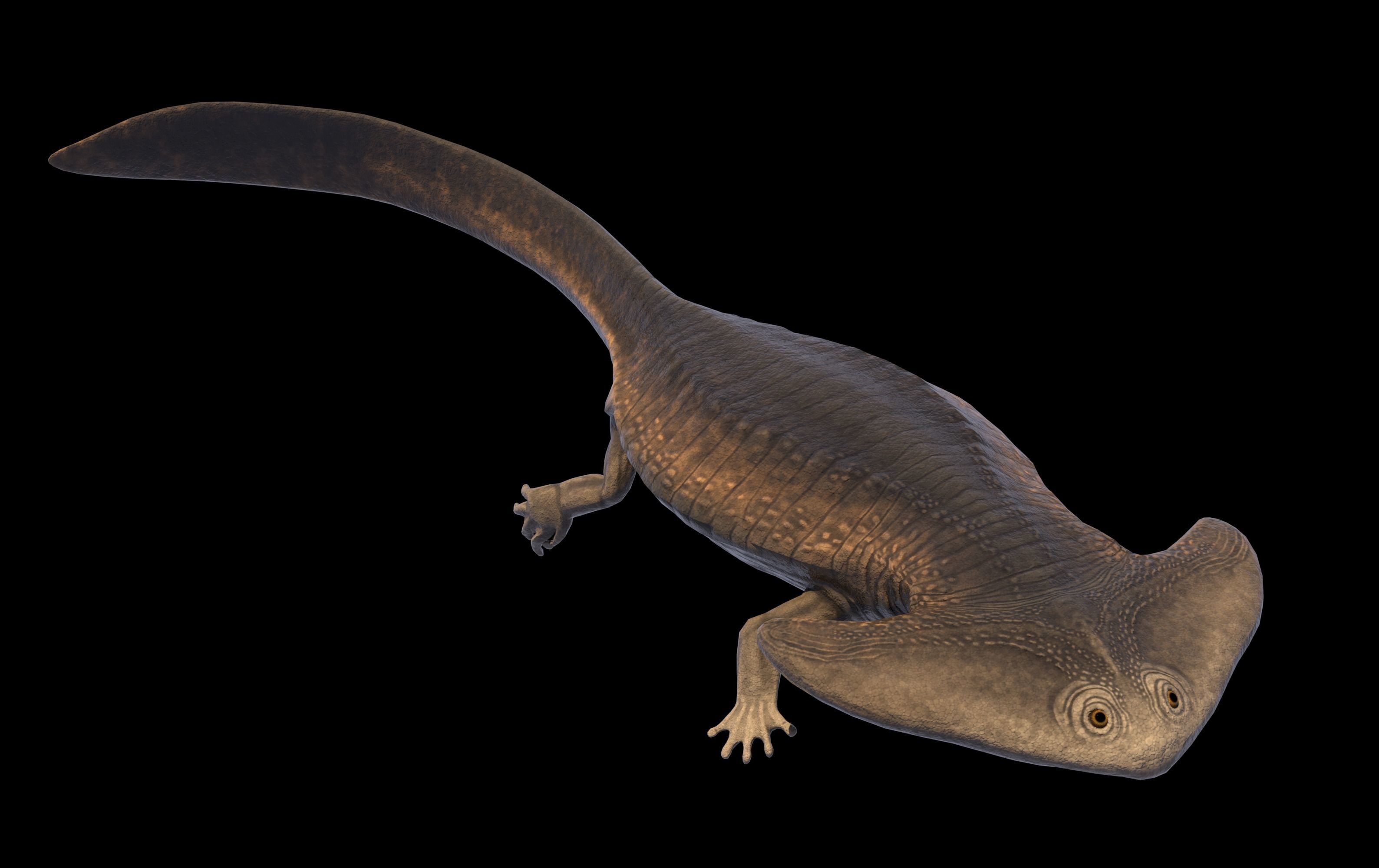 Diplocaulus Asset Pack Low-poly 3D model_1