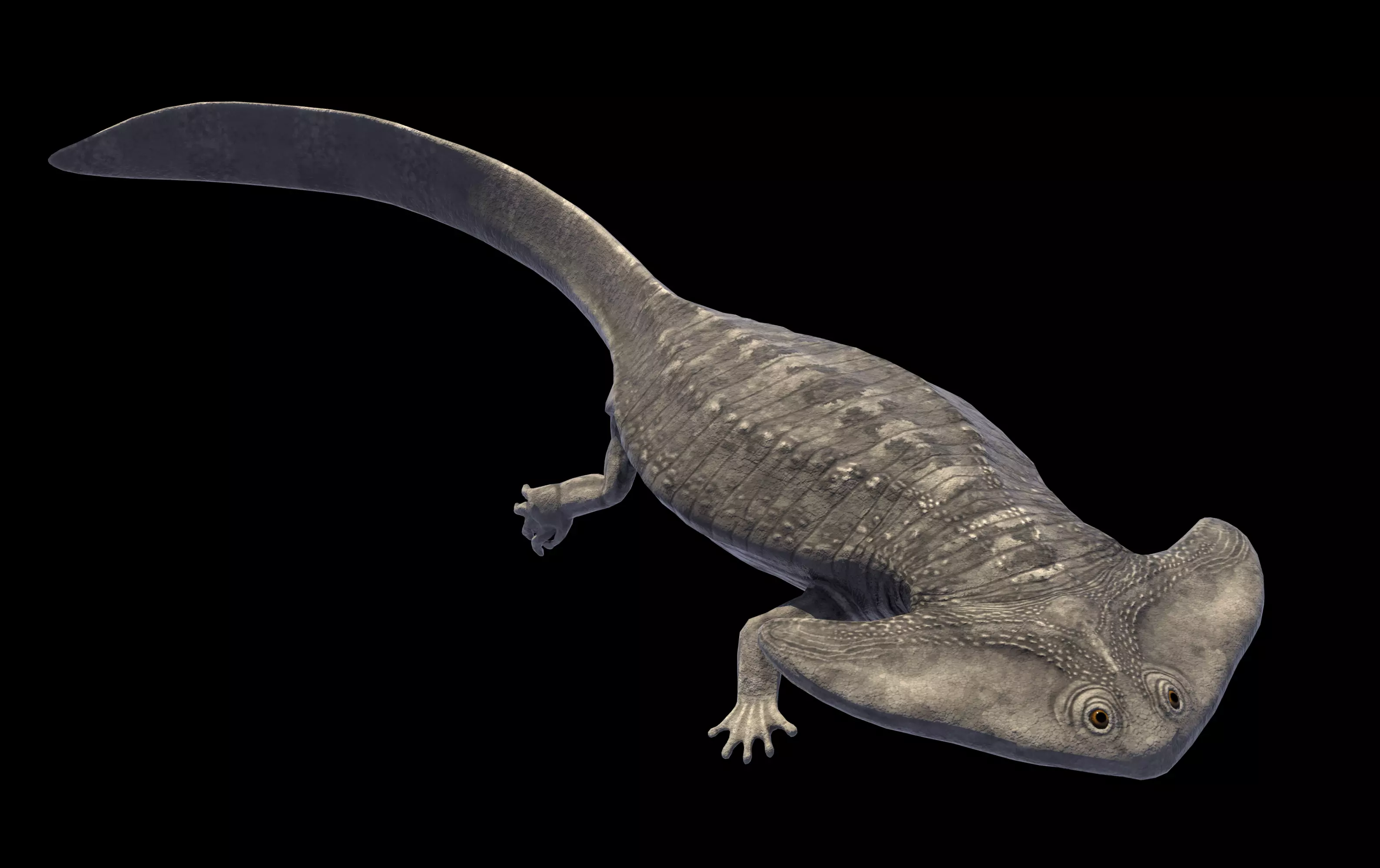 Diplocaulus Asset Pack Low-poly 3D model_0