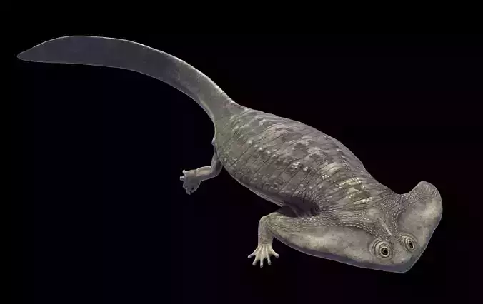 Diplocaulus Asset Pack Low-poly 3D model
