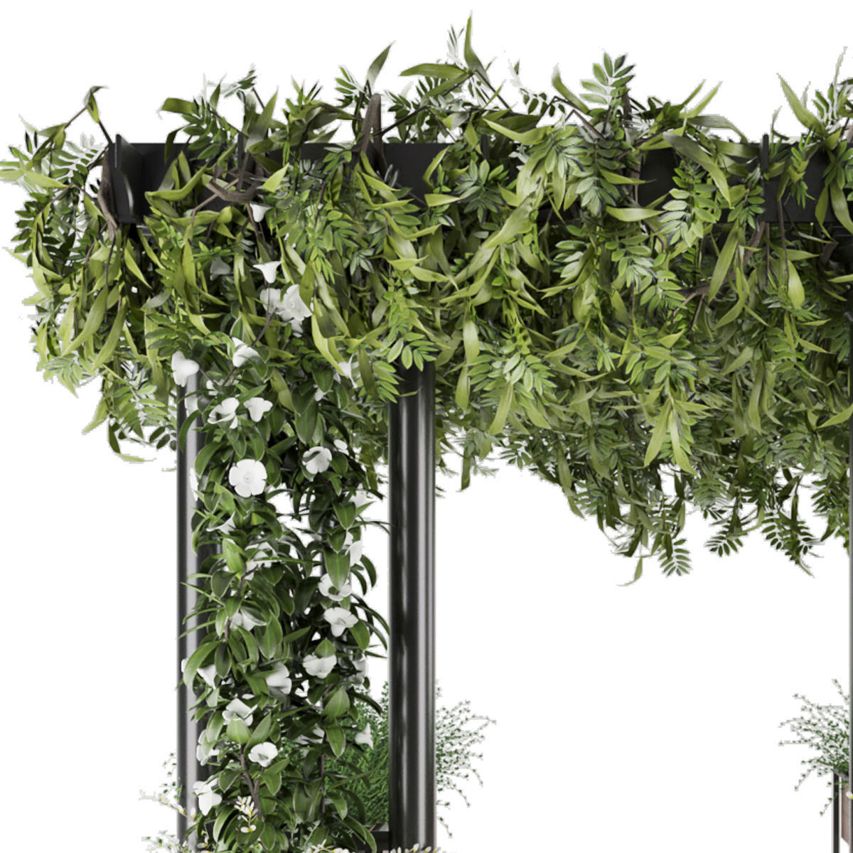 Collection plant vol 33 3D model_3