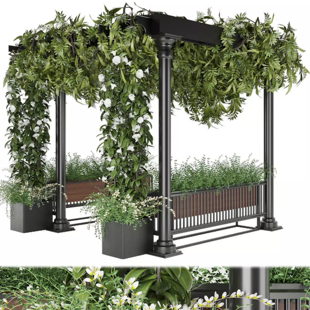 Collection plant vol 33 3D model_0