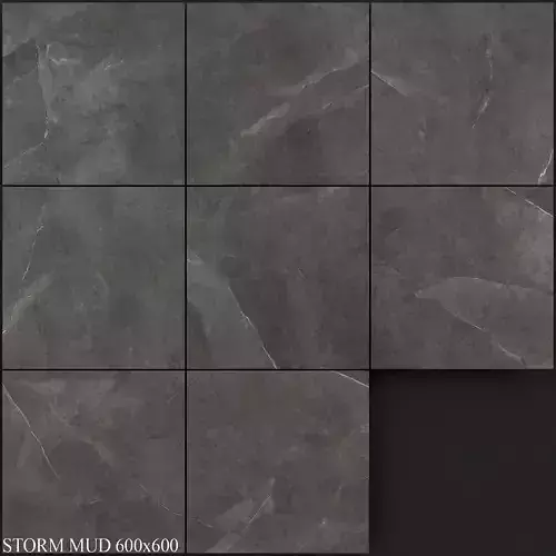 Ariana Ceramica Storm Mud 600x600 3D model